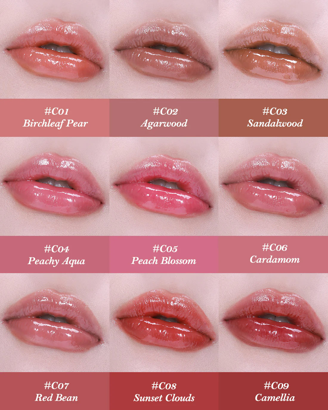 Butterfly Cloud Collar Glossy Labial