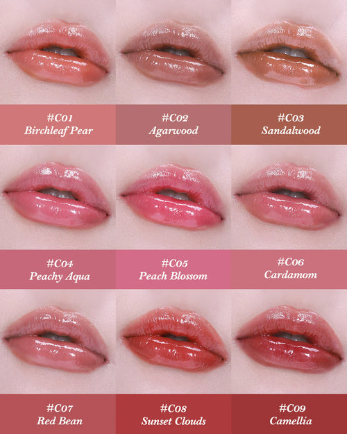 Butterfly Cloud Collar Glossy Labial